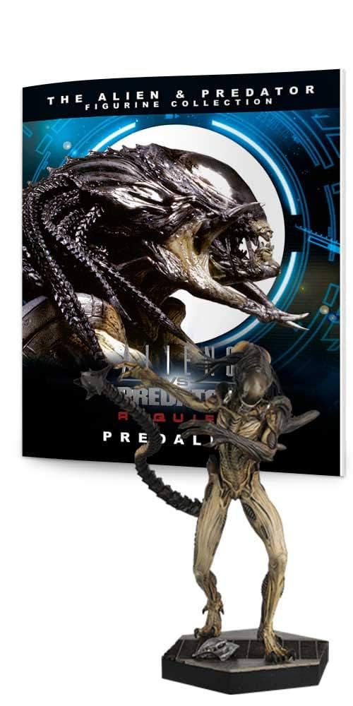 K*i様 ALIENS vs PREDATOR フィギュアセット K*i様 ALIENS vs PREDATOR フィギュアセット Amazon.co.jp